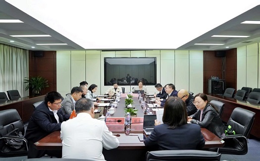 臺州市副市長苗文斌調研中非經貿港